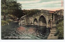 1906 postcard fish for sale  MANCHESTER