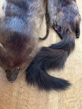 Vintage real fur for sale  STOWMARKET