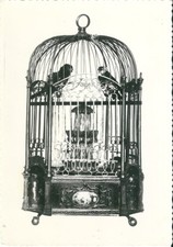 Cpm bird cage d'occasion  Expédié en Belgium