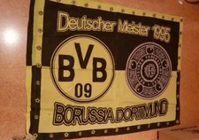 Bvb meister 1995 gebraucht kaufen  Stuttgart