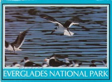 Everglades national park for sale Everglades national park for sale  WARWICK