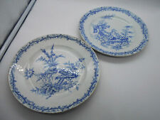 Paire assiette porcelaine d'occasion  Saint-Calais