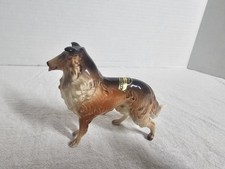 gaylord dog for sale gaylord dog for sale Bakersfield
