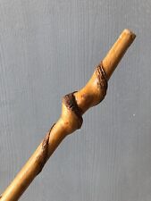 Ancien bâton marche d'occasion  Laon
