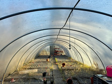 Großer folientunnel foliengew gebraucht kaufen  Wolmirstedt