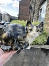 Winstanley cat kensington for sale  KEIGHLEY