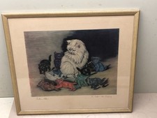 Carter kittens carter for sale  Swan