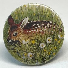 Fawn young baby for sale  BILLINGHAM