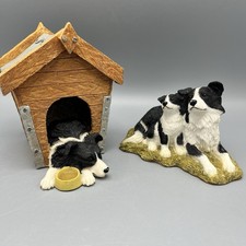 Border collie sheepdog for sale  ELGIN