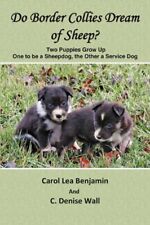 Border collies dream for sale  Topanga