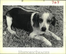 1989 press photo for sale  Memphis