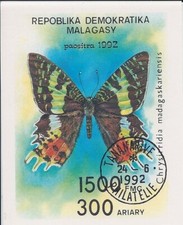 Madagascar farfalla farfalle usato  Milano