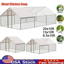 20ftx10ft walk chicken for sale  USA