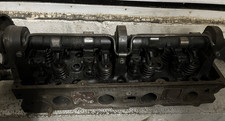 pinto head for sale pinto head for sale GLOSSOP