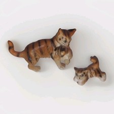 Mama cat kittens for sale  Toledo