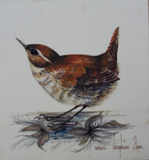 painted josephine for sale painted josephine for sale TOTNES