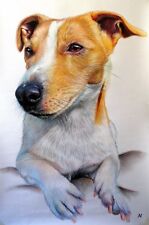 Ritratto jack russell usato  Torino
