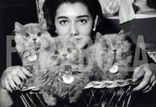 Vintage tre gatti usato  Roma