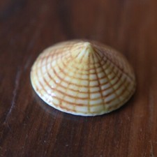 Ancienne feve chapeau d'occasion  France