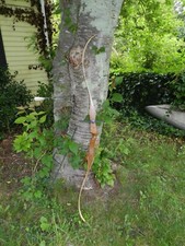 Vintage wing amf for sale  Belmar