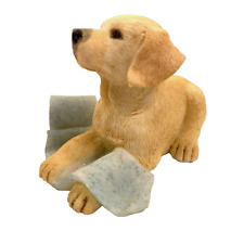 Puppy toilet roll for sale  LANGPORT