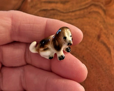 Mini miniature basset for sale Mini miniature basset for sale  Beaver Falls