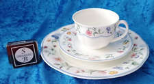 B24 villeroy boch gebraucht kaufen  Bous