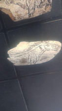 Paleolithic portable art d'occasion  Brest
