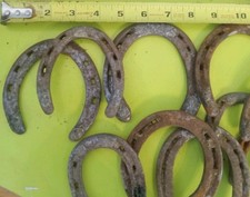 One dozen used for sale  Shipshewana