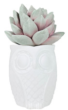 White owl planter for sale  Chesterfield