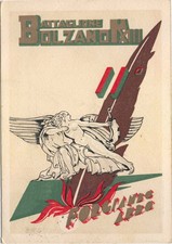 Alpini battaglione bolzano usato  Rovigo