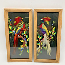 Set mexican feather for sale  Coraopolis