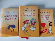 David safier bücher gebraucht kaufen  Bühlertal