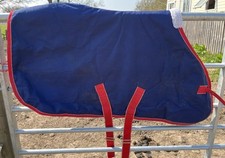 Turnout rug 100g for sale  ABERGAVENNY