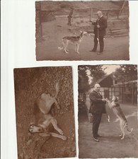 Fotos herrchen hund gebraucht kaufen  Herten
