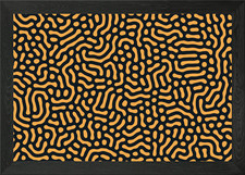 Turing patterns framed for sale  UK