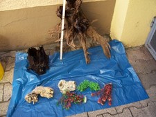 Aquarien deko gebraucht kaufen  Böhl-Iggelheim