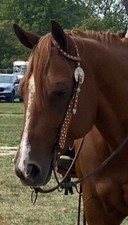 Dale chavez western for sale  Jackson