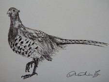 Original small black for sale  ABERYSTWYTH