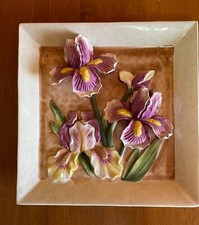 Beautiful purple iris for sale  Johnson City