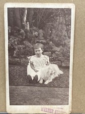 Rare photographer walter for sale  BILLERICAY