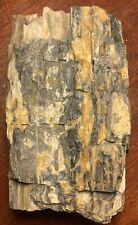 Ancient petrified wood for sale  Boise