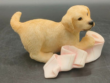 Leonardo andrex puppy for sale  LEEDS