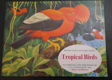 Tropical birds vintage for sale  BECCLES