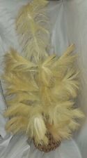 Pampas grass christmas for sale  Altoona