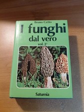 L68 cetto funghi usato  Ventimiglia