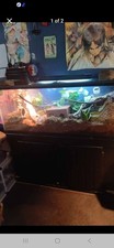 X12 x19 terrarium d'occasion  Expédié en Belgium