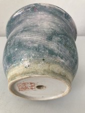 Chinese japanese plant for sale  CHATHAM