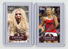 Maria Brink raro MH Soppeng #'d x/3 cartão de tabaco nº. 485 comprar usado  Enviando para Brazil