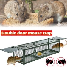 Rat trap squirrel for sale  NORTHAMPTON